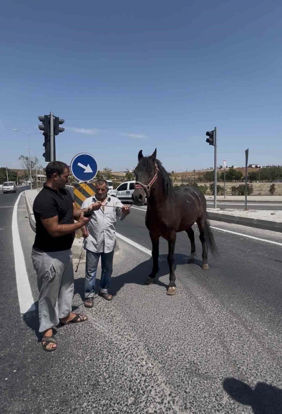 Bülten Medya -