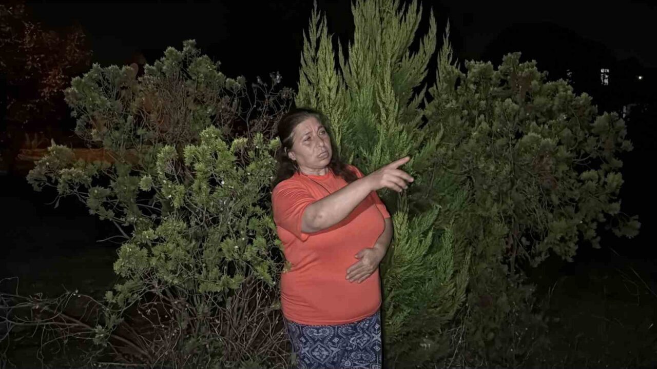 Bir tıkırtı yetiyor, herkes sokağa fırlıyor: Gece saatlerinde fenerlerle iz sürüyorlar 39 Bülten Medya -