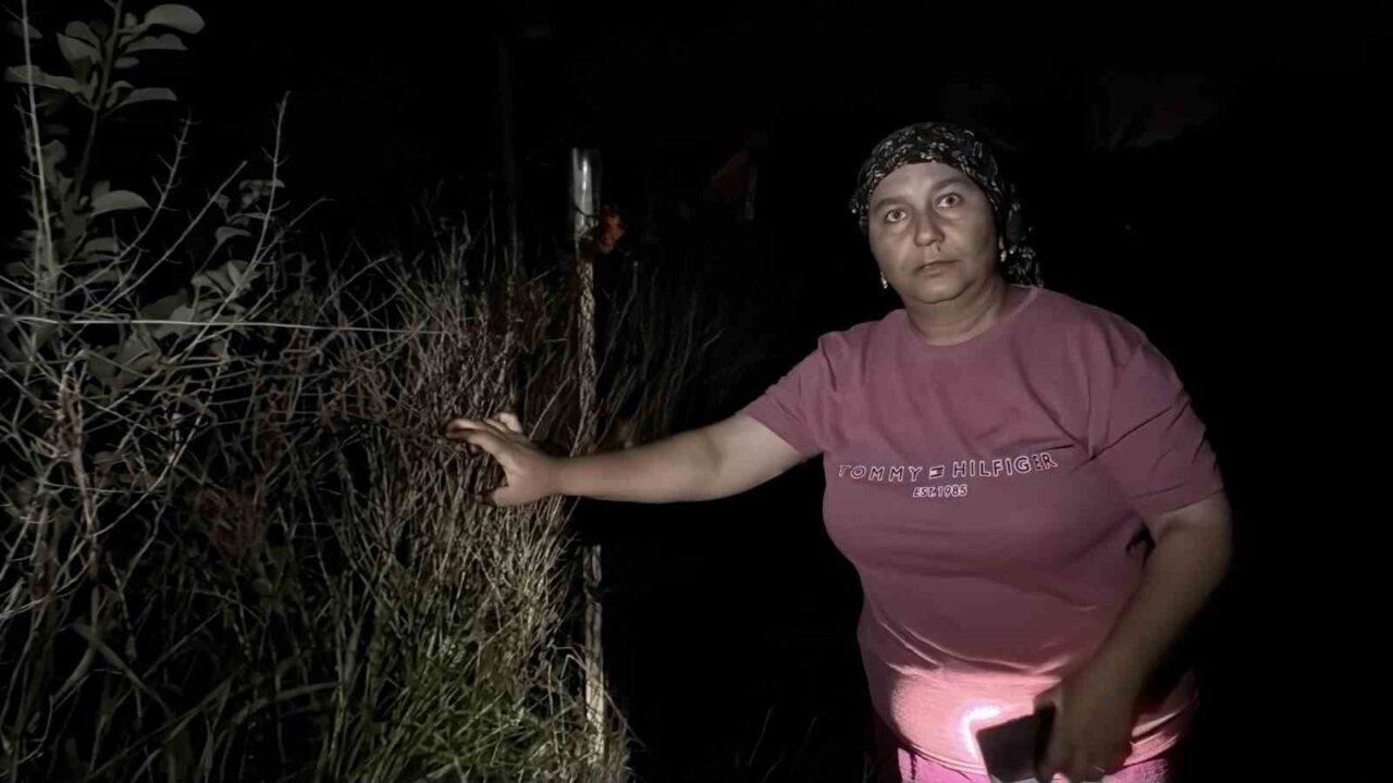 Bir tıkırtı yetiyor, herkes sokağa fırlıyor: Gece saatlerinde fenerlerle iz sürüyorlar 40 Bülten Medya -