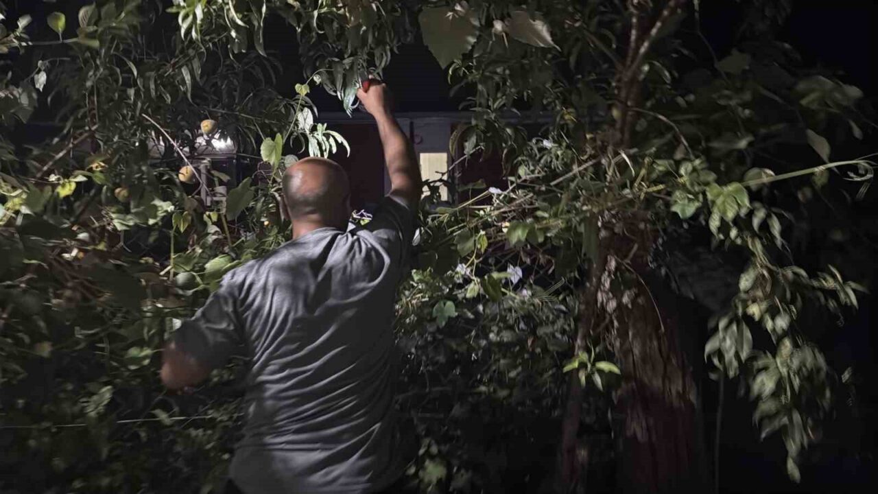 Bir tıkırtı yetiyor, herkes sokağa fırlıyor: Gece saatlerinde fenerlerle iz sürüyorlar 33 Bülten Medya -