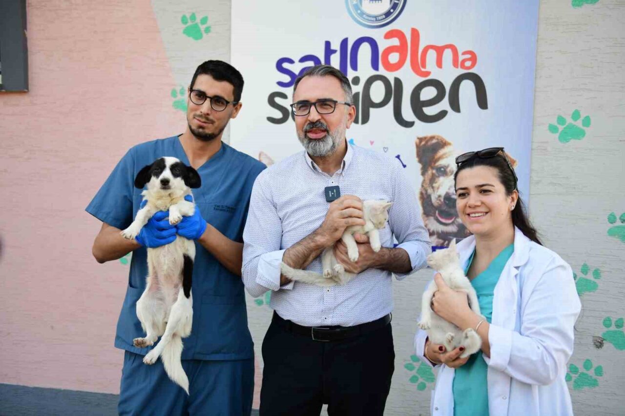 Bir tıkla yuva: Kestel Belediyesi ile sahiplenme artık daha kolay 16 Bülten Medya -