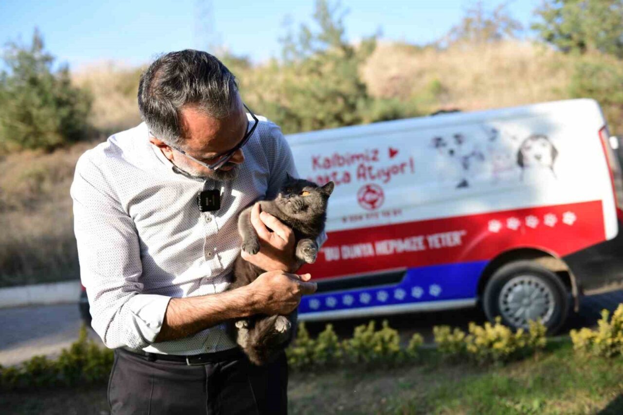 Bir tıkla yuva: Kestel Belediyesi ile sahiplenme artık daha kolay 14 Bülten Medya -