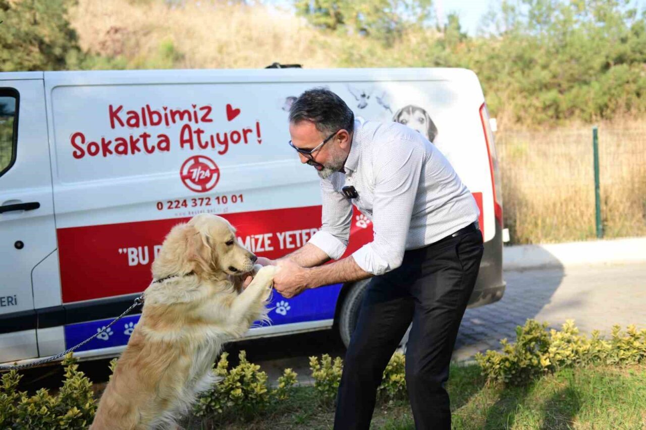 Bir tıkla yuva: Kestel Belediyesi ile sahiplenme artık daha kolay 13 Bülten Medya -