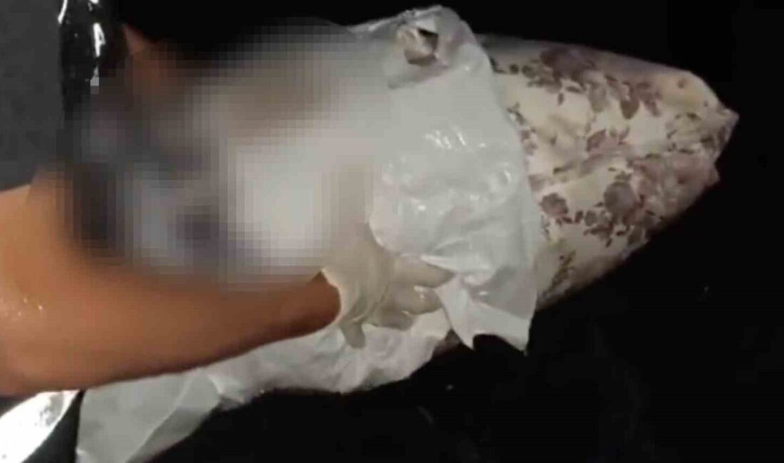 İstanbul’dan uyuşturucu getirdiği tespit edilen bir şüpheli ile torbacı diye