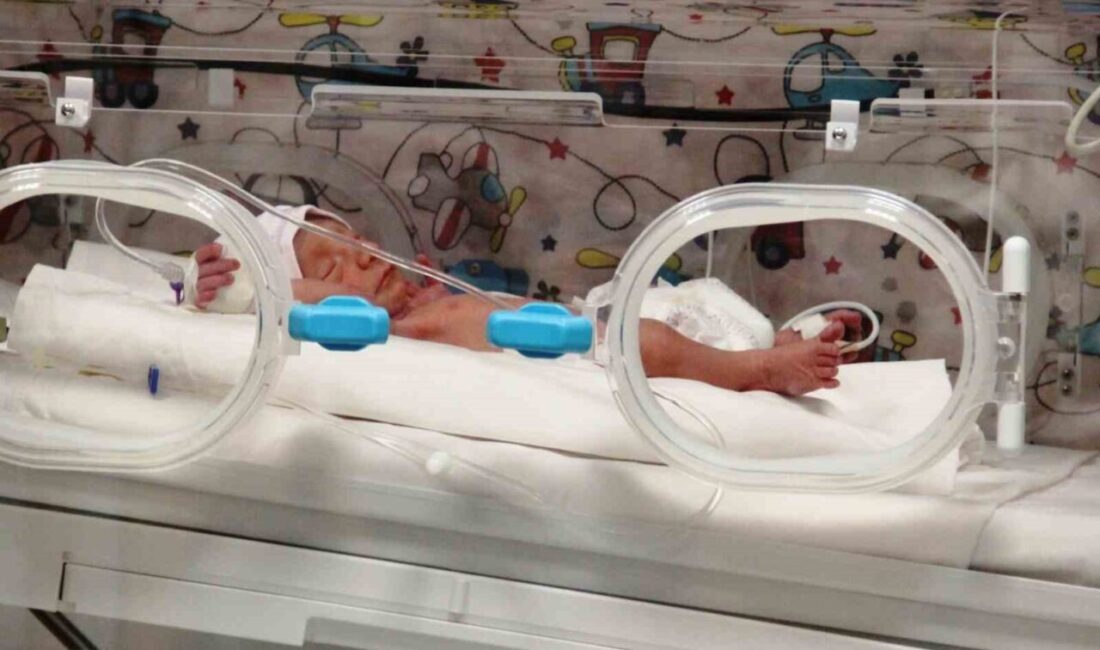 Böcek ilacından zehirlendiği iddia edilen Y.T’nin Mehmet Akif Ersoy Devlet Hastanesi’nde ilk dünyaya gelen bebek olduğu ortaya çıktı Çanakkale’de iddiaya göre komşularının evini böceklere karşı yaptırdığı ilaçlama sonrası