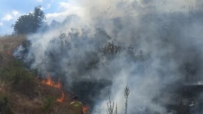 Bilecik’in Bozüyük ilçesindeki ormanlık alanda çıkan yangını söndürme çalışmaları sürüyor.