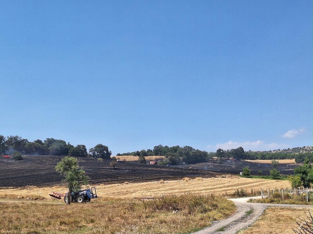 Bilecik'in Bozüyük ilçesinde tarım arazisinde çıkan yangında yaklaşık 80 dönüm