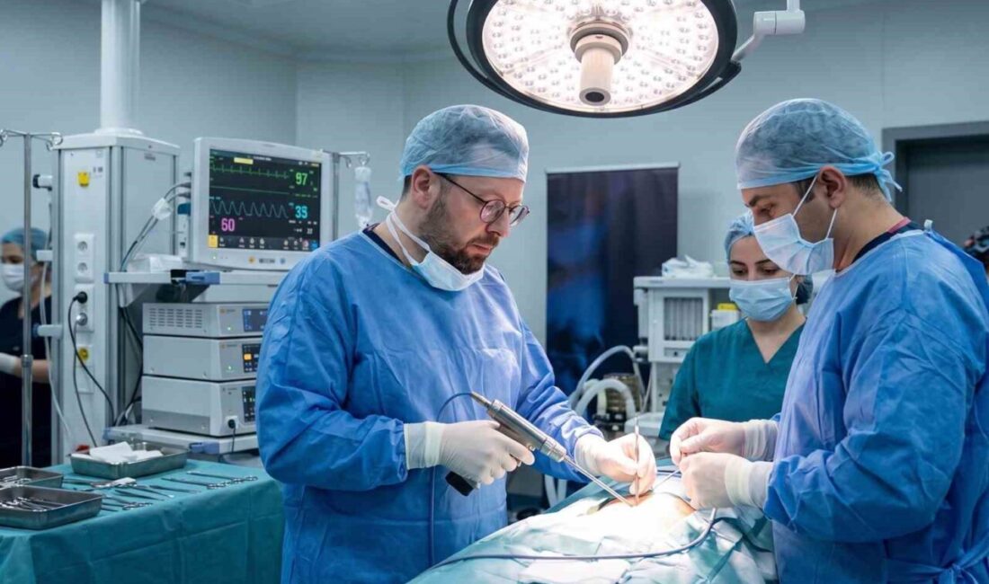 Bilecik Şeyh Edebali Üniversitesi (BŞEÜ) Tıp Fakültesi Dr. Öğr. Üyesi