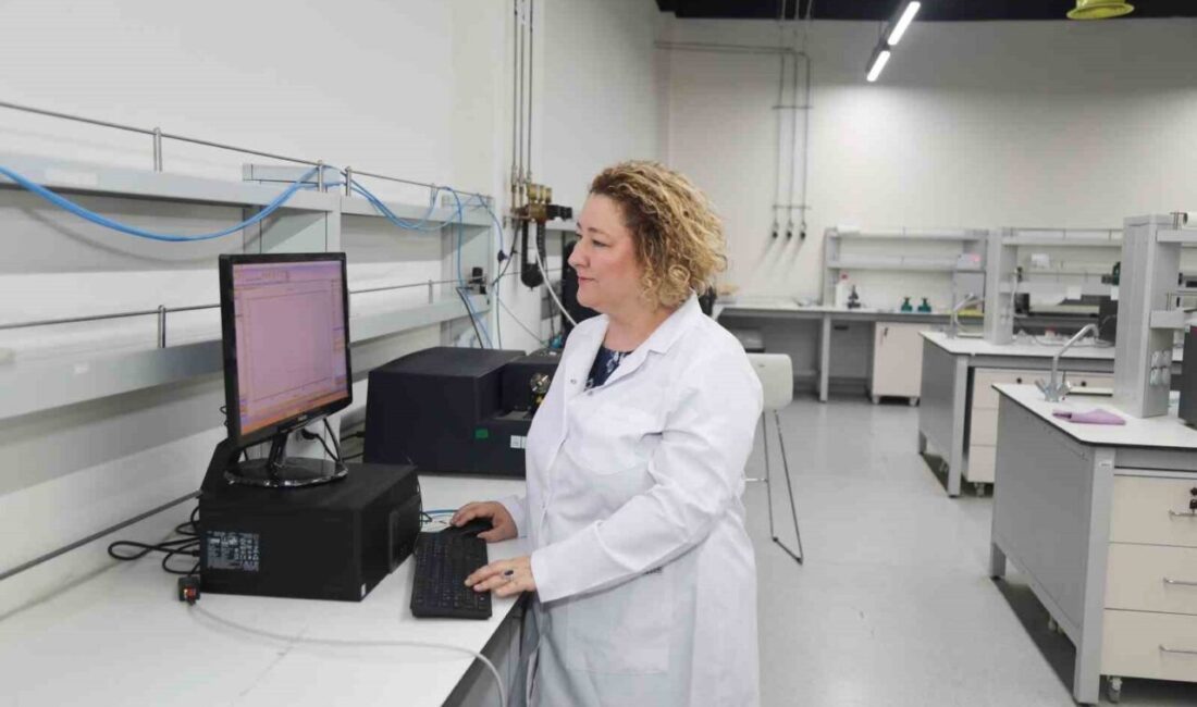Bursa Teknik Üniversitesi (BTÜ), Avrupa Birliği destekli uluslararası MORPHEUS Projesi’nde
