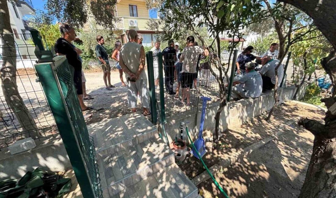 Burhaniye’de ağaç kesilmesine isyan Balıkesir’in Burhaniye ilçesinde, İskele Mahallesi Adyar Mevkiinde Belediyenin başlattığı yol