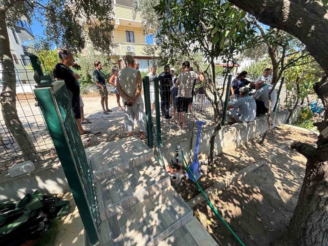 Burhaniye’de ağaç kesilmesine isyan 7 Bülten Medya -