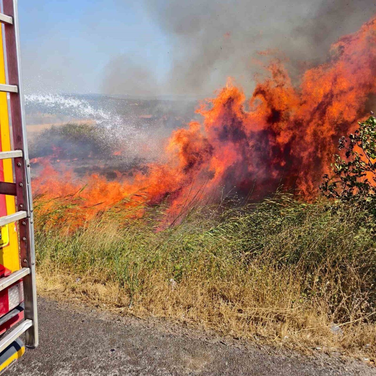 Burhaniye’de ot yangını trafiği etkiledi 17 Bülten Medya -