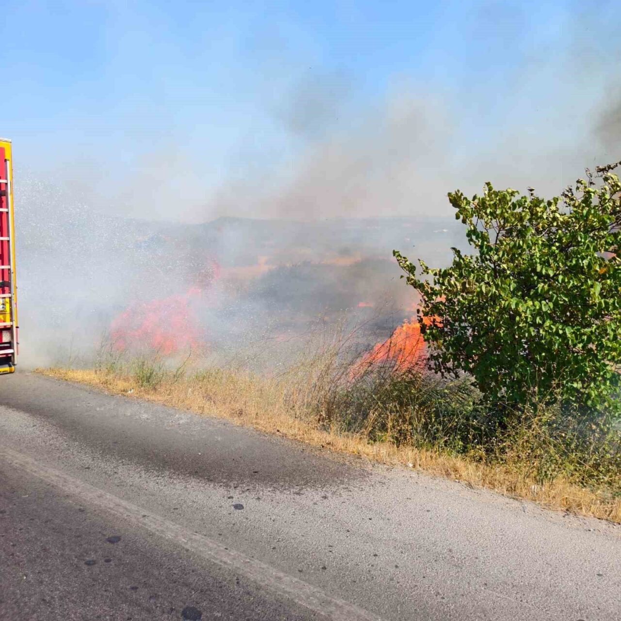 Burhaniye’de ot yangını trafiği etkiledi 19 Bülten Medya -
