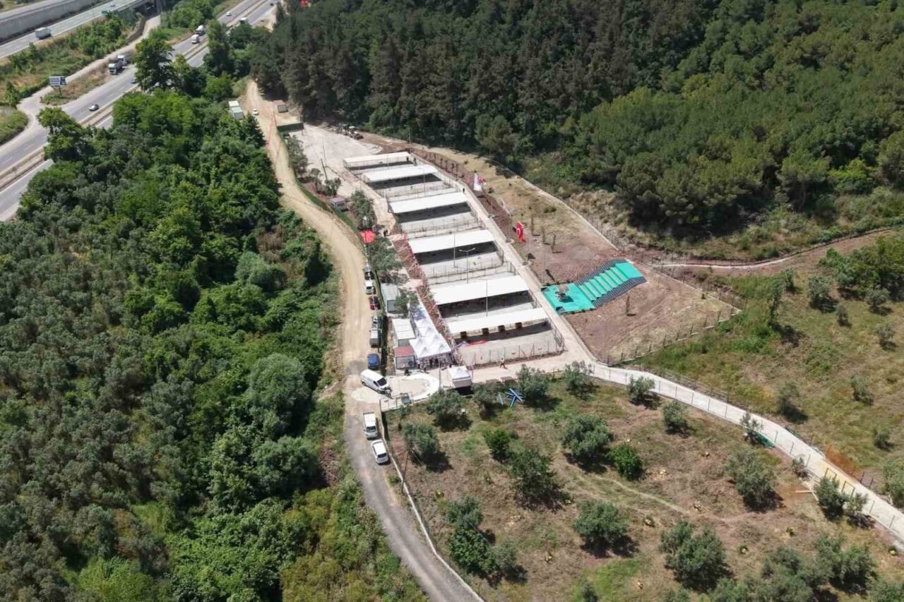 Bursa Hayvan Hakları Platformu’ndan Gemlik Belediyesi’ne tepki: "Kapıları açın" 8 Bülten Medya -