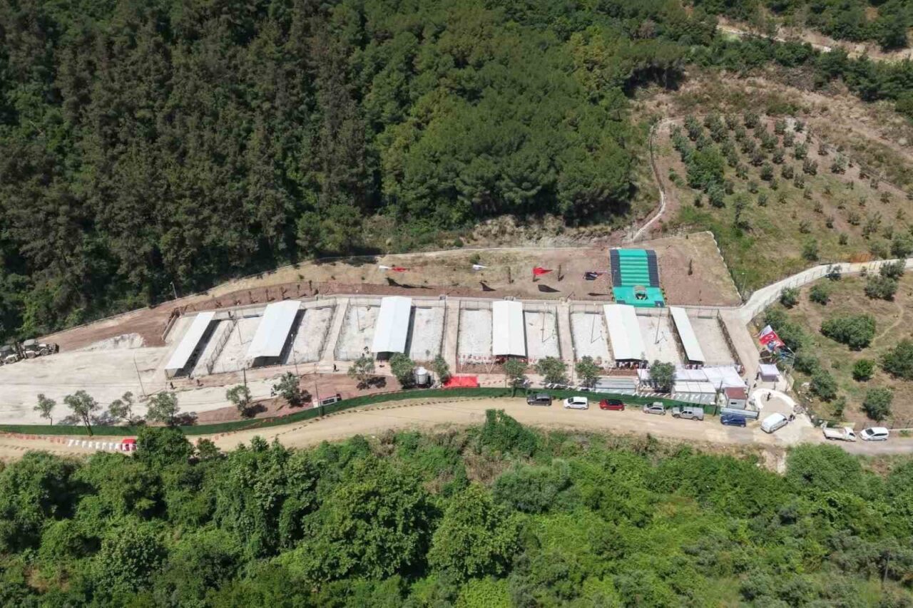 Bursa Hayvan Hakları Platformu’ndan Gemlik Belediyesi’ne tepki: "Kapıları açın" 7 Bülten Medya -