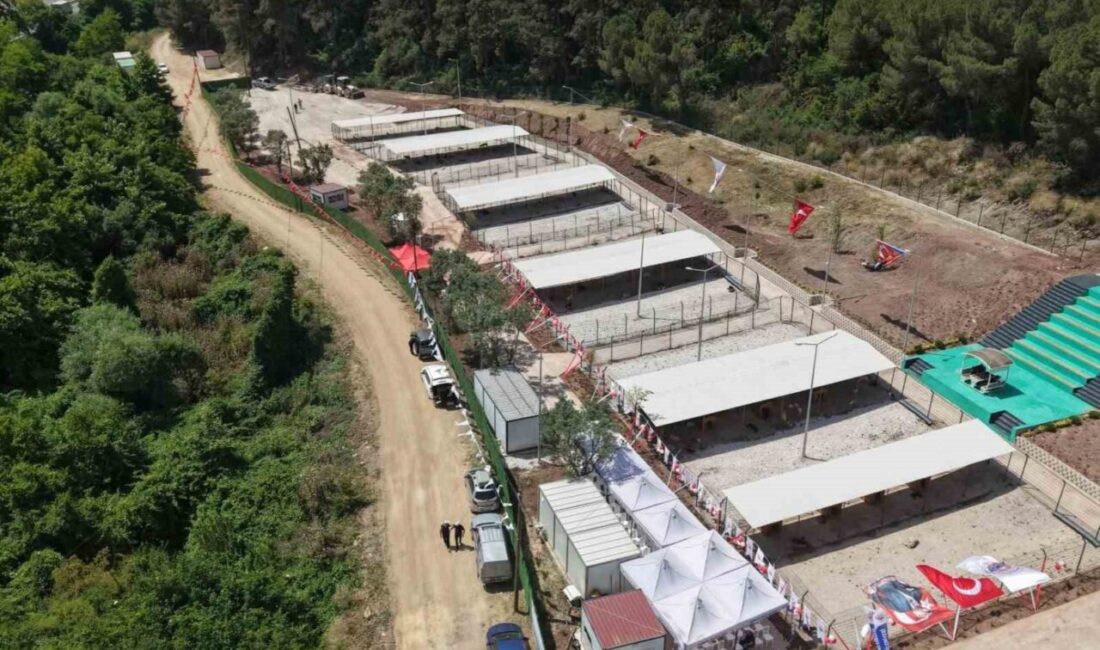 Bursa Hayvan Hakları Platformu’ndan Gemlik Belediyesi’ne tepki: “Kapıları açın” Bursa Hayvan Hakları Platformu, Gemlik Belediyesi Hayvan Yaşam Alanı’nın vatandaş