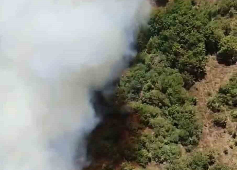 Bursa’nın Kestel ilçesinde 3 ayrı noktadaki yangın söndürülürken, Yenişehir ilçesinde