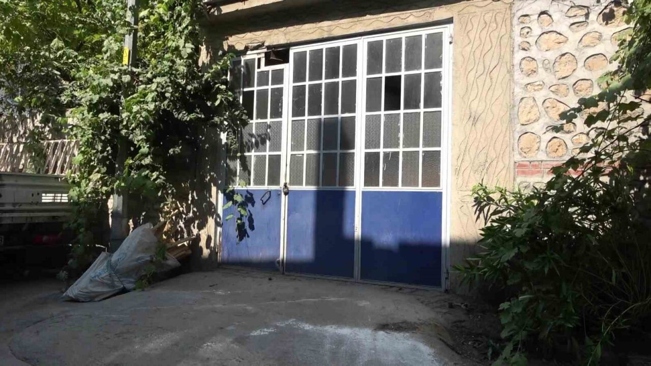Bursa’da hayvanlara şiddet iddiası: Apartmandan dehşet çıktı, mahalleyi pireler bastı 25 Bülten Medya -