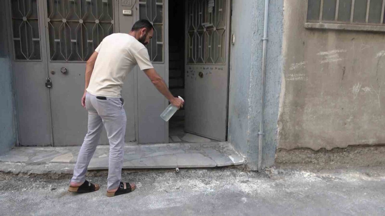 Bursa’da hayvanlara şiddet iddiası: Apartmandan dehşet çıktı, mahalleyi pireler bastı 23 Bülten Medya -