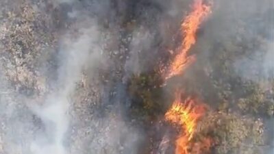 Bursa’nın Nilüfer ilçesinde tarım alanındaki yangın ormana sıçradı. Hem orman