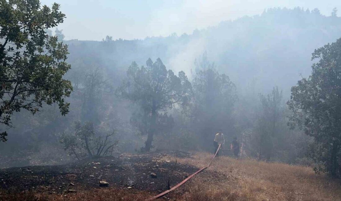 Bursa’nın Büyükorhan ilçesinde çıkan orman yangını, kontrol altına alındı. Bölgede