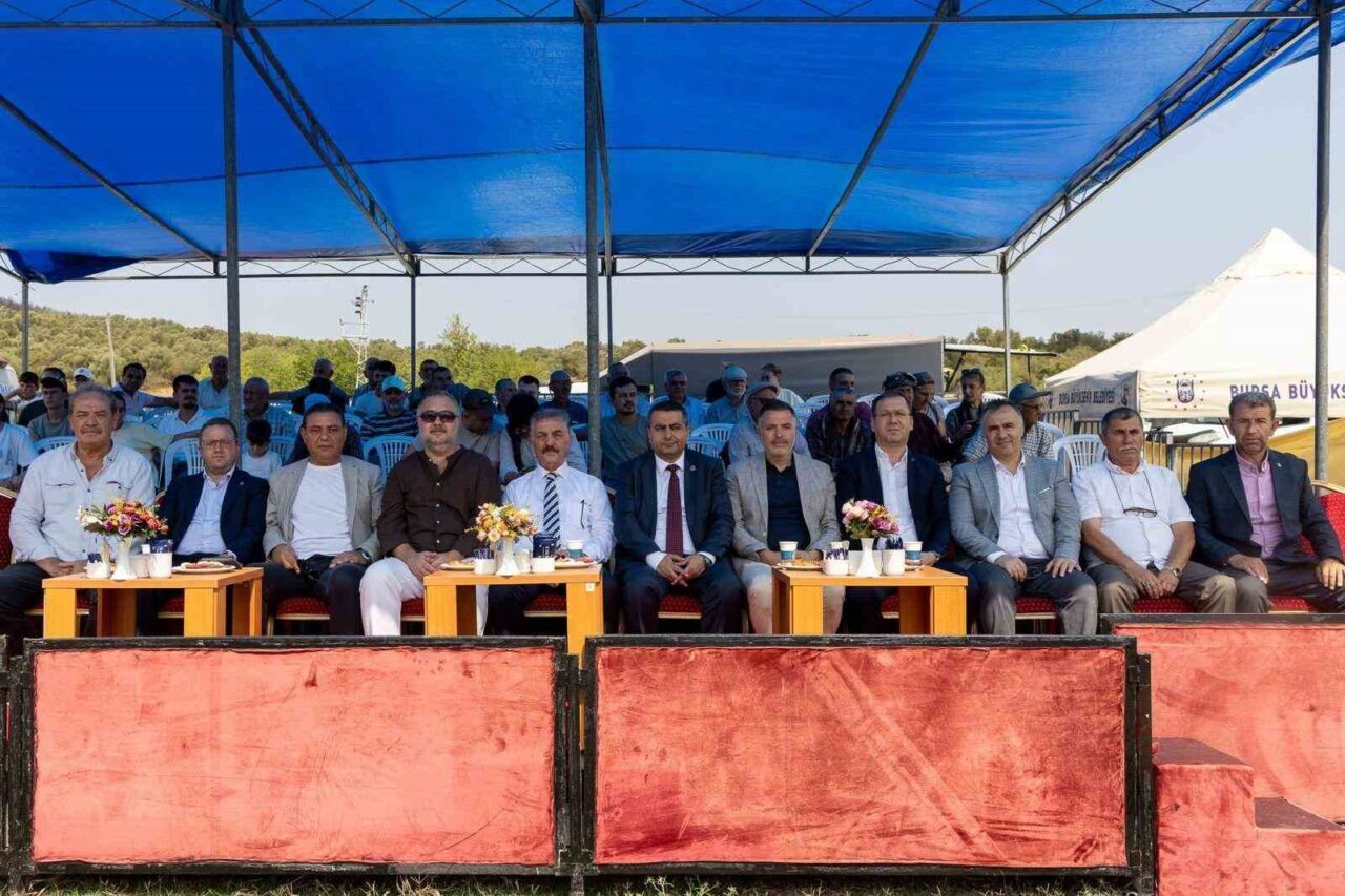 Bülten Medya -