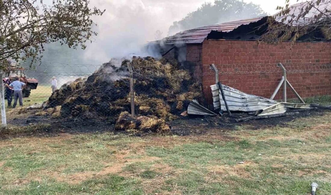 Bursa’nın İnegöl ilçesinde samanlıkta çıkan yangın, itfaiye ekiplerinin yaklaşık 1