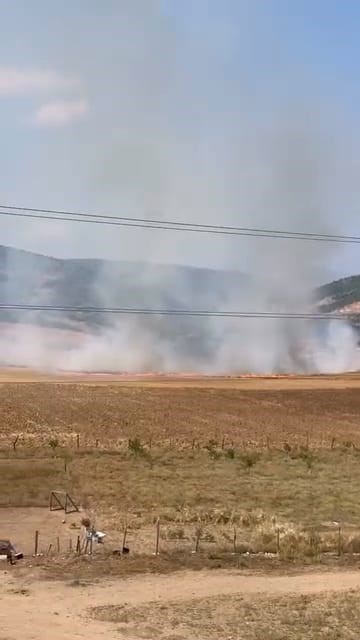 Bursa’da tarlalık alanı ateşe veren şüpheli yakalandı Bursa’nın İnegöl ilçesinde tarlalık alanı ateşe veren 16 yaşındaki şüpheli,
