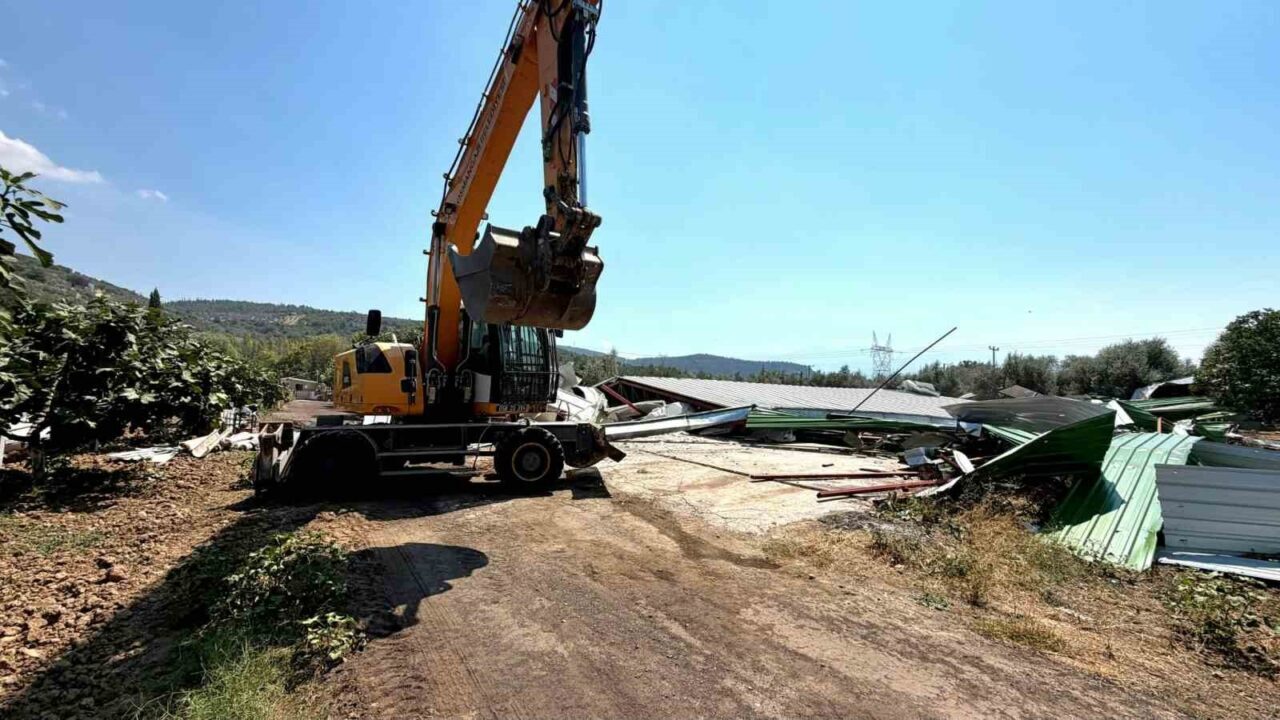 Bursa’da zeytinliğe yapılan kaçak depo böyle yıkıldı 14 Bülten Medya -