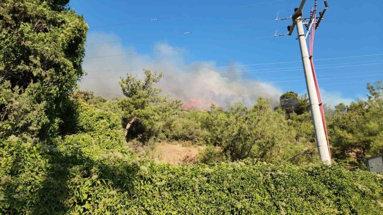 Bursa’daki alevlere havadan müdahale güçlendirildi 7 Bülten Medya -