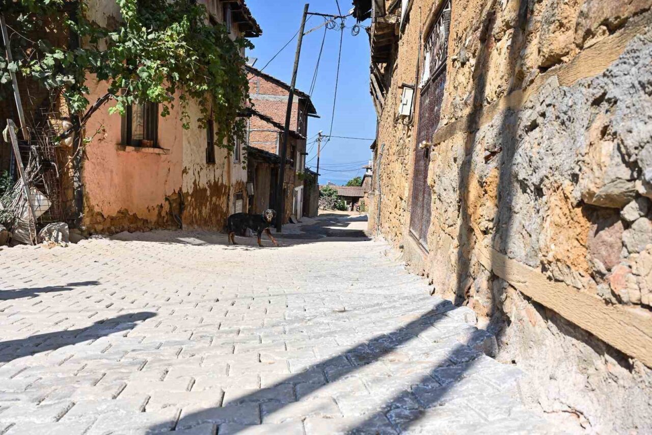 Büyükşehir’den Müşküle’ye altyapı ve üstyapı hamlesi 24 Bülten Medya -