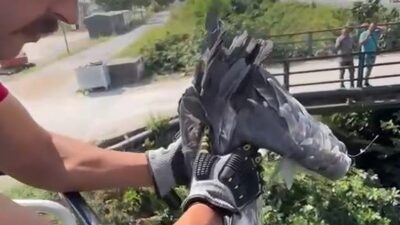 Sakarya’da çalılıklar arasına sıkışarak mahsur kalan bir balıkçıl kuşu, bölgeye