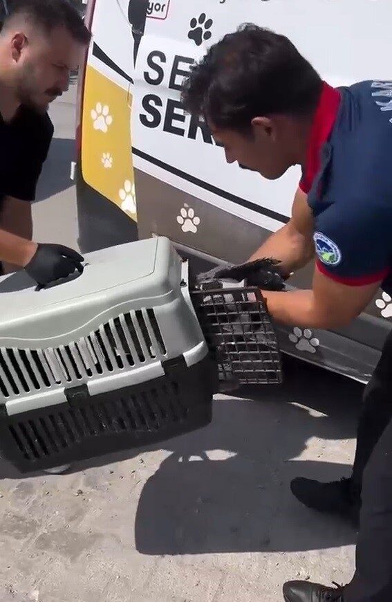 Çalıların arasına sıkışan balıkçıl kuşun imdadına itfaiye yetişti 12 Bülten Medya -