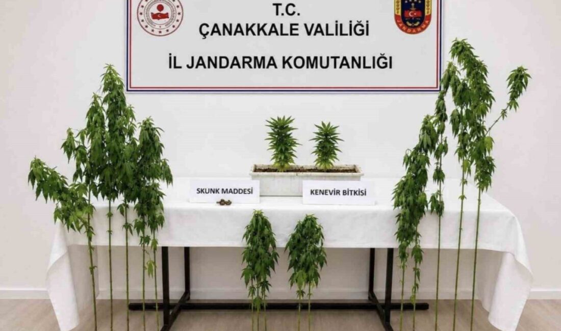Çanakkale’de Merkez, Biga ve Ezine ilçelerinde gerçekleştirilen uyuşturucu operasyonunda çok
