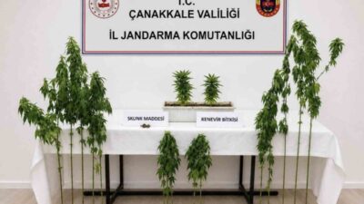 Çanakkale’de Merkez, Biga ve Ezine ilçelerinde gerçekleştirilen uyuşturucu operasyonunda çok