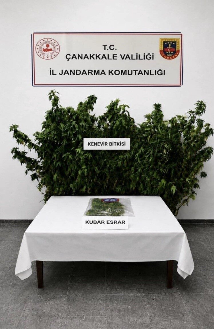 Bülten Medya -