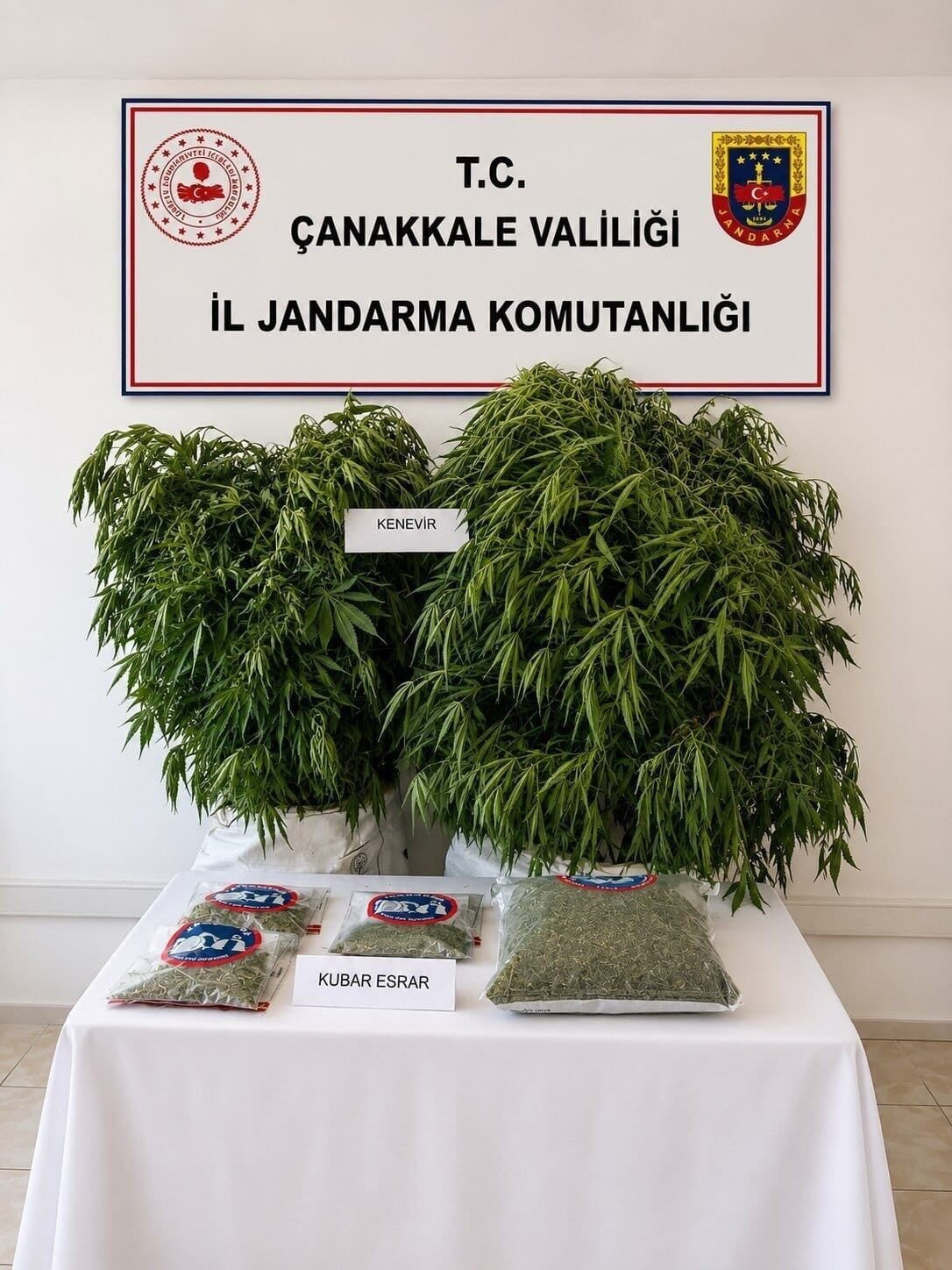 Bülten Medya -