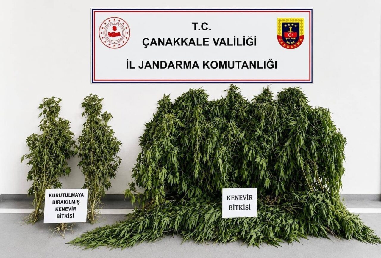Bülten Medya -