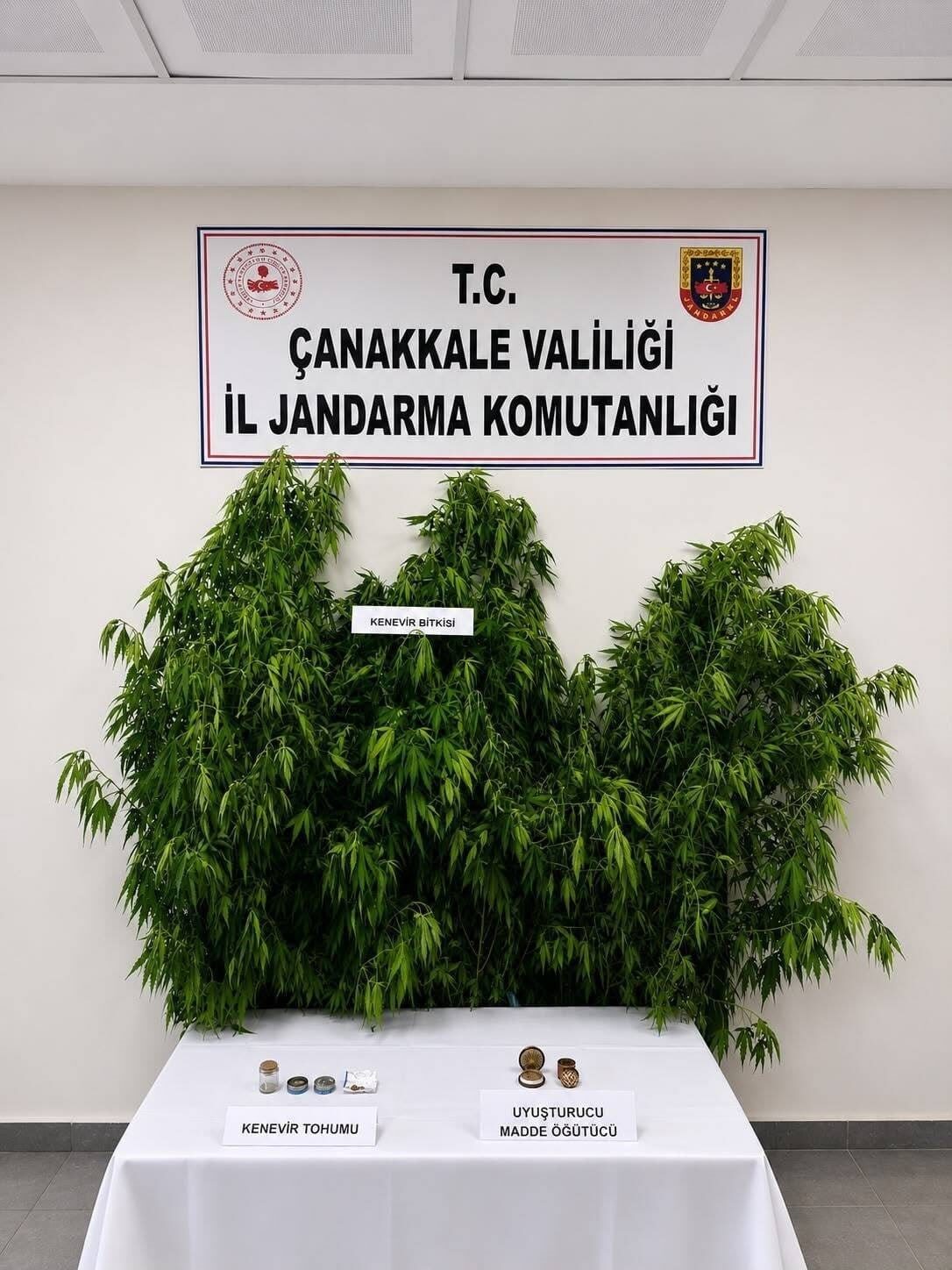 Bülten Medya -