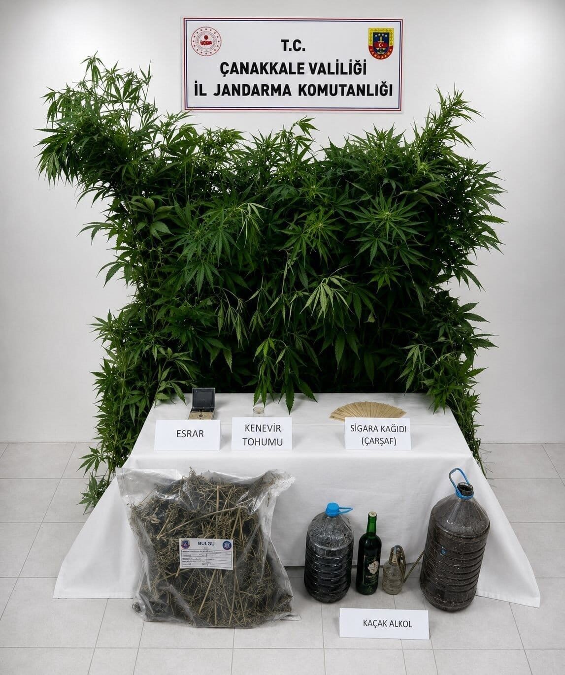 Bülten Medya -