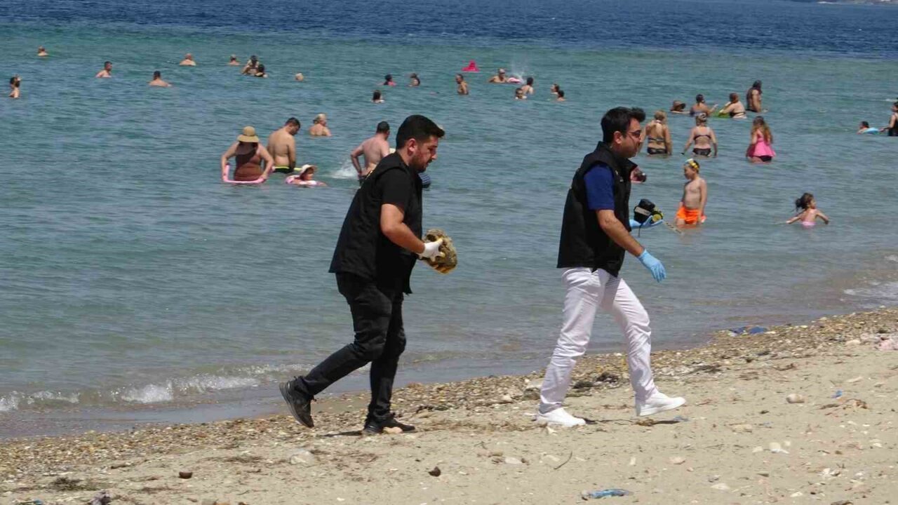 Çanakkale’de plajda savaştan kalma olduğu değerlendirilen askeri mühimmat bulundu 26 Bülten Medya -