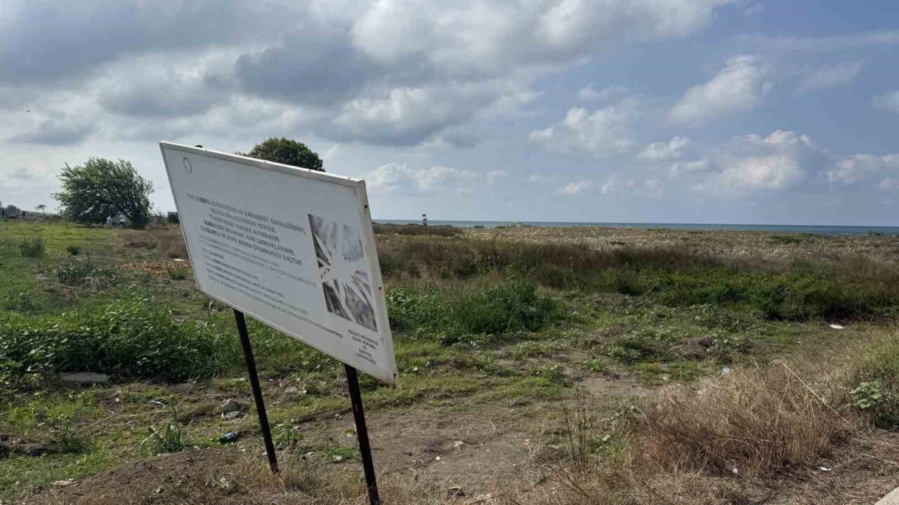 Cezası dudak uçuklatan kum zambakları, çöpler arasında güzelliğini yitirdi 41 Bülten Medya -