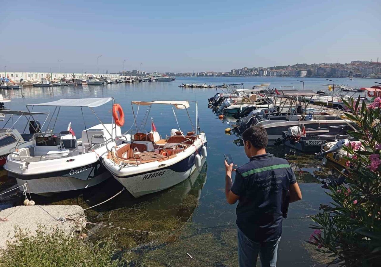 Bülten Medya -