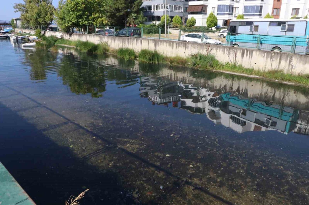 Bülten Medya -