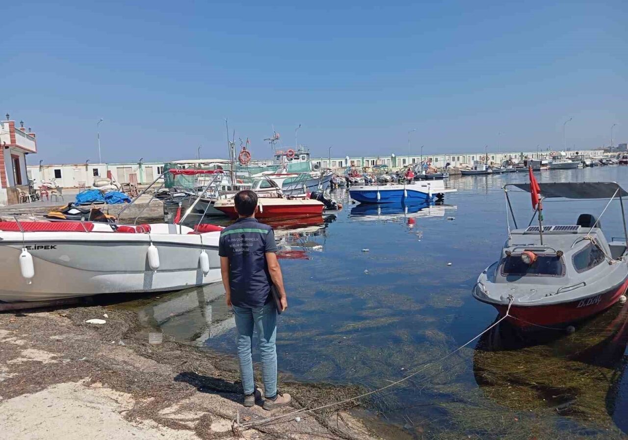 Bülten Medya -