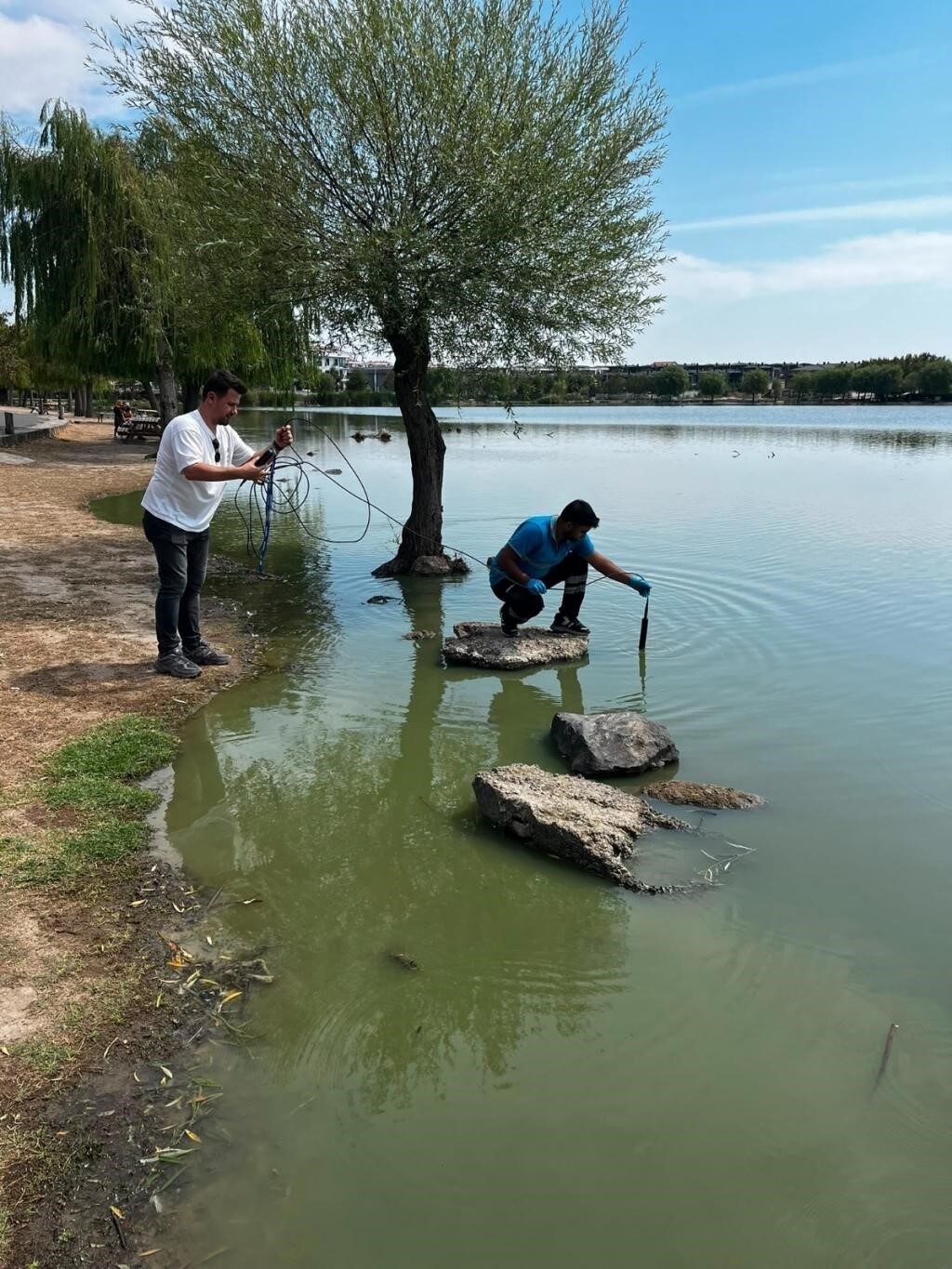 Çorlu Gölbaşı Parkı’nda alg alarmı: Gölette çalışma başlatıldı 4 Bülten Medya -