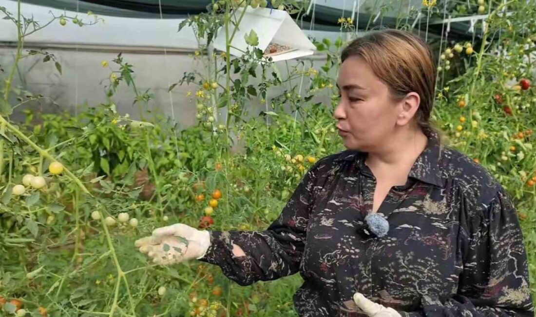 Tekirdağ’ın Süleymanpaşa ilçesinde yaşayan 38 yaşındaki Yasemin Güler Orhan, çocukluk
