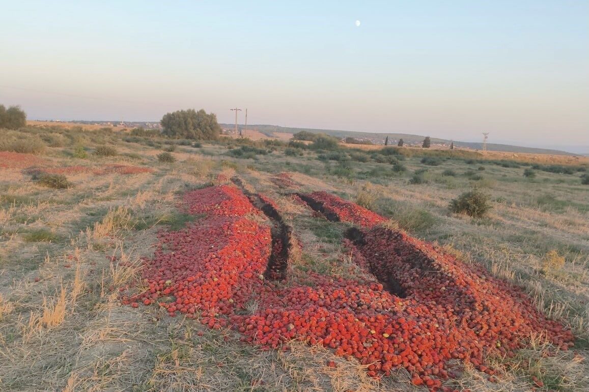 Bülten Medya -