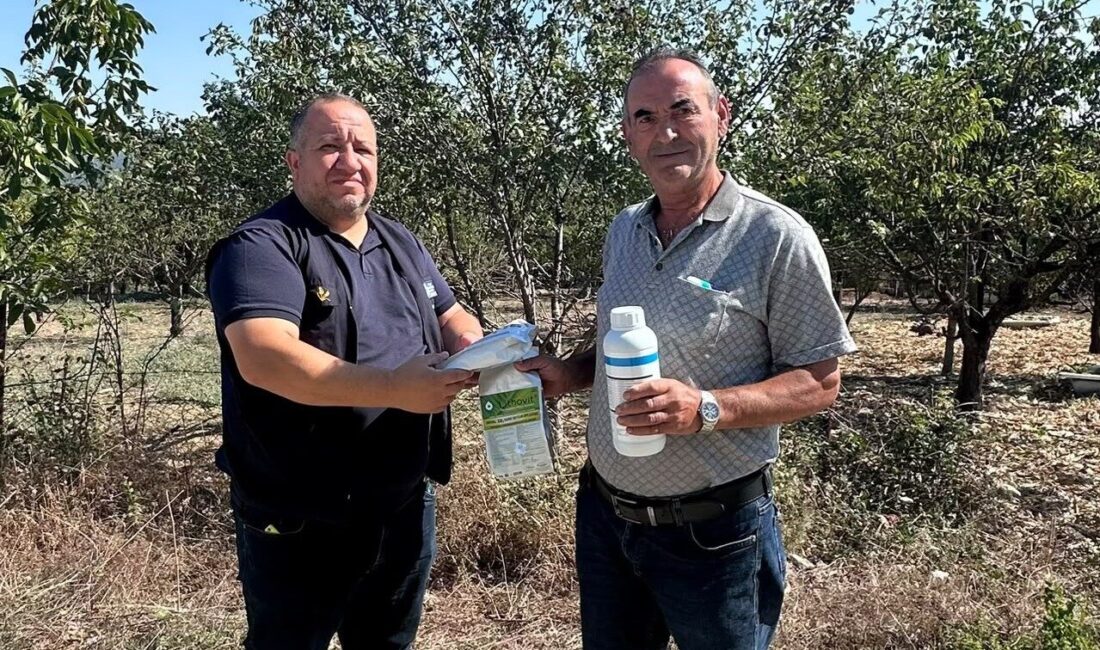 Dolu mağduru üreticilere destek Kocaeli Büyükşehir Belediyesi, dolu yağışından zarar gören meyve bahçeleri için