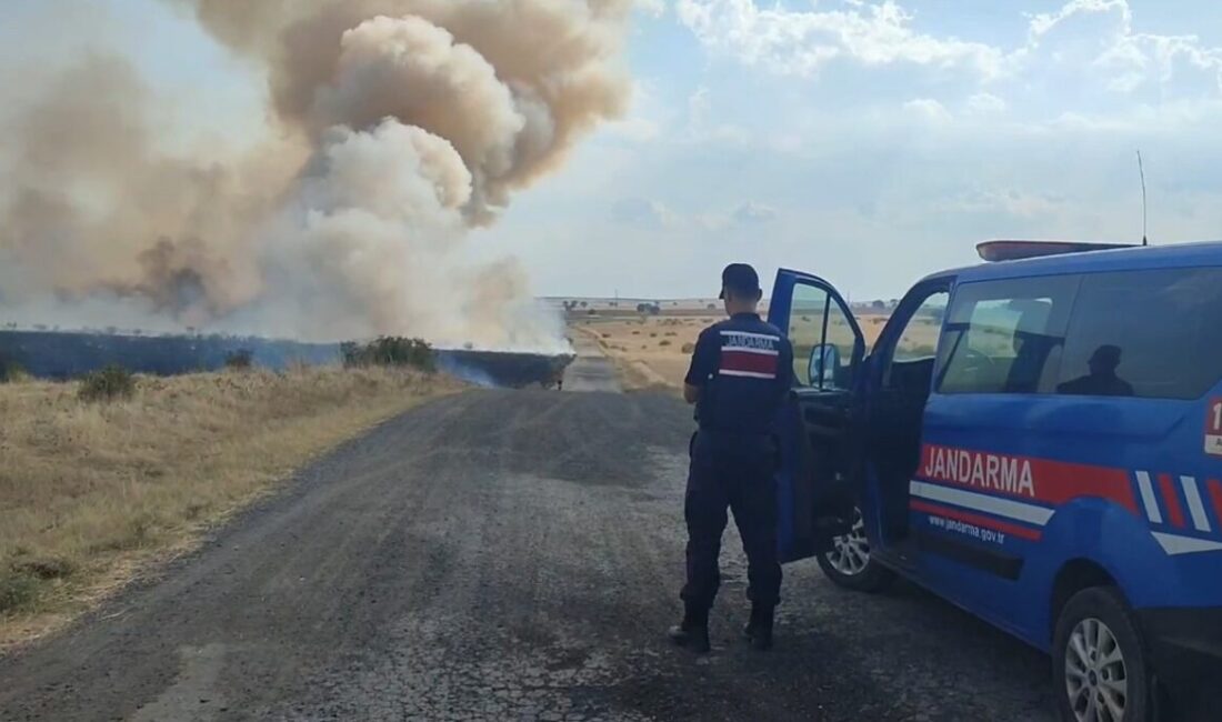 Edirne’nin Havsa ilçesinde bir merada çıkan yangına köylüler su tankerleri